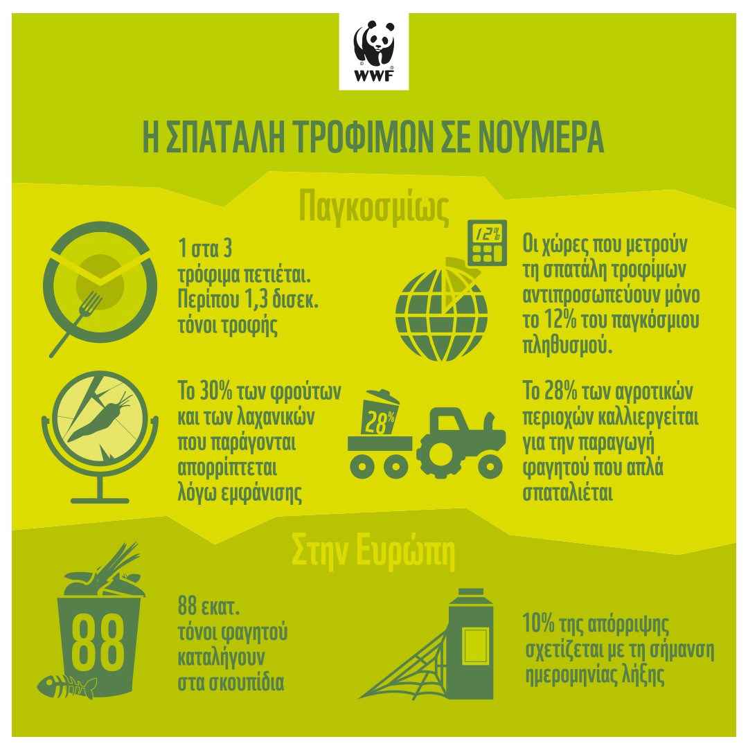 Food Waste Infographic_1